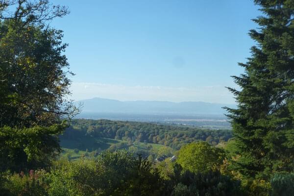 Ferienhaus Badenweiler Blick auf die Vogesen