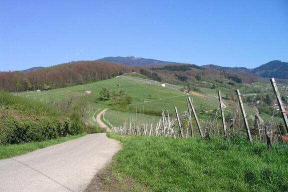 Ferienhaus Badenweiler  Weindoerfer