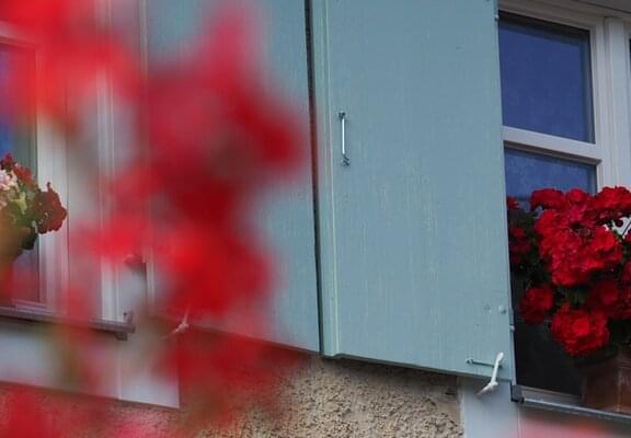 Ferienhaus Badenweiler/ Markgräflerland