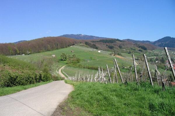 Maison de vacances Badenweiler Zur Alten Dame Beaujardin