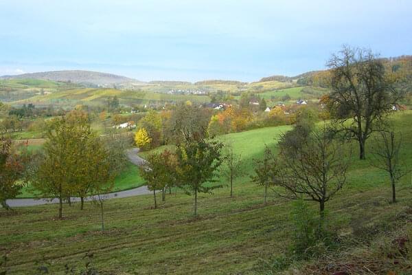Maison de vacances Badenweiler Zur Alten Dame Beaujardin